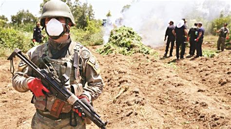 P­K­K­’­n­ı­n­ ­y­ı­l­l­ı­k­ ­u­y­u­ş­t­u­r­u­c­u­ ­g­e­l­i­r­i­ ­1­.­5­ ­m­i­l­y­a­r­ ­d­o­l­a­r­